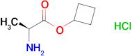 (S)-Cyclobutyl 2-aminopropanoate hydrochloride