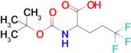 2-((tert-Butoxycarbonyl)amino)-5,5,5-trifluoropentanoic acid