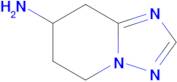 5,6,7,8-Tetrahydro-[1,2,4]triazolo[1,5-a]pyridin-7-amine