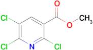 Methyl 2,5,6-trichloronicotinate