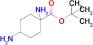 tert-Butyl 1,4-diaminocyclohexanecarboxylate