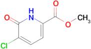 Methyl 5-chloro-6-oxo-1,6-dihydropyridine-2-carboxylate