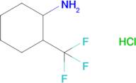 2-(Trifluoromethyl)cyclohexan-1-amine hydrochloride