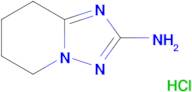 5,6,7,8-Tetrahydro-[1,2,4]triazolo[1,5-a]pyridin-2-amine hydrochloride