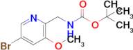 tert-Butyl ((5-bromo-3-methoxypyridin-2-yl)methyl)carbamate