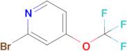 2-Bromo-4-(trifluoromethoxy)pyridine