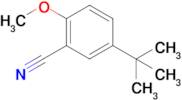 5-(tert-Butyl)-2-methoxybenzonitrile
