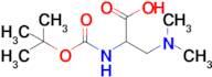 2-((tert-Butoxycarbonyl)amino)-3-(dimethylamino)propanoic acid