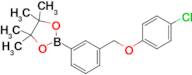 2-(3-((4-Chlorophenoxy)methyl)phenyl)-4,4,5,5-tetramethyl-1,3,2-dioxaborolane