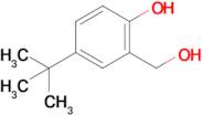 4-(tert-Butyl)-2-(hydroxymethyl)phenol