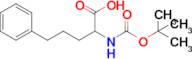 2-((tert-Butoxycarbonyl)amino)-5-phenylpentanoic acid
