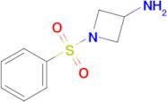 1-(Phenylsulfonyl)azetidin-3-amine