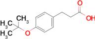 3-(4-(tert-Butoxy)phenyl)propanoic acid