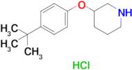 3-(4-(tert-Butyl)phenoxy)piperidine hydrochloride