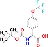 (S)-2-((tert-Butoxycarbonyl)amino)-2-(4-(trifluoromethoxy)phenyl)acetic acid