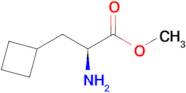 (S)-Methyl 2-amino-3-cyclobutylpropanoate