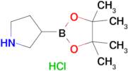 3-(4,4,5,5-Tetramethyl-1,3,2-dioxaborolan-2-yl)pyrrolidine hydrochloride