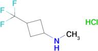 N-Methyl-3-(trifluoromethyl)cyclobutanamine hydrochloride