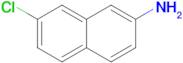 7-Chloronaphthalen-2-amine