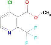 Methyl 4-chloro-2-(trifluoromethyl)nicotinate