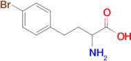2-Amino-4-(4-bromophenyl)butanoic acid