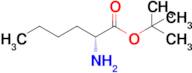 (R)-tert-Butyl 2-aminohexanoate