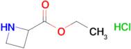 Ethyl azetidine-2-carboxylate hydrochloride