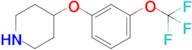 4-(3-(Trifluoromethoxy)phenoxy)piperidine