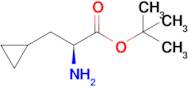 (S)-tert-Butyl 2-amino-3-cyclopropylpropanoate