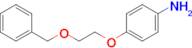 4-(2-(Benzyloxy)ethoxy)aniline