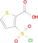 3-(Chlorosulfonyl)thiophene-2-carboxylic acid