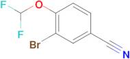 3-Bromo-4-(difluoromethoxy)benzonitrile