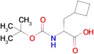 (R)-2-((tert-Butoxycarbonyl)amino)-3-cyclobutylpropanoic acid