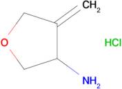 4-Methylenetetrahydrofuran-3-amine hydrochloride