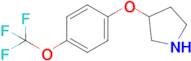 3-(4-(Trifluoromethoxy)phenoxy)pyrrolidine