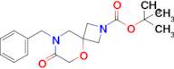 tert-Butyl 8-benzyl-7-oxo-5-oxa-2,8-diazaspiro[3.5]nonane-2-carboxylate