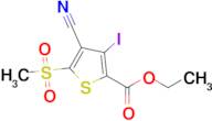 Ethyl 4-cyano-3-iodo-5-(methylsulfonyl)thiophene-2-carboxylate