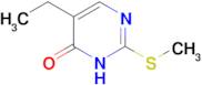 5-Ethyl-2-(methylthio)pyrimidin-4(3H)-one