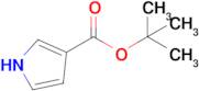 tert-Butyl 1H-pyrrole-3-carboxylate