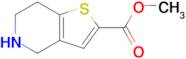 Methyl 4,5,6,7-tetrahydrothieno[3,2-c]pyridine-2-carboxylate