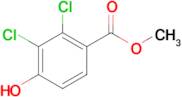 Methyl 2,3-dichloro-4-hydroxybenzoate