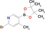 2-Bromo-4-methyl-5-(4,4,5,5-tetramethyl-1,3,2-dioxaborolan-2-yl)pyridine