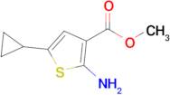 Methyl 2-amino-5-cyclopropylthiophene-3-carboxylate