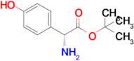 (R)-tert-Butyl 2-amino-2-(4-hydroxyphenyl)acetate