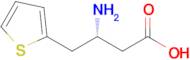 (R)-3-Amino-4-(thiophen-2-yl)butanoic acid