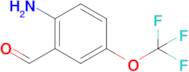 2-Amino-5-(trifluoromethoxy)benzaldehyde