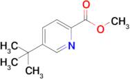 Methyl 5-(tert-butyl)picolinate