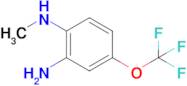 N1-Methyl-4-(trifluoromethoxy)benzene-1,2-diamine