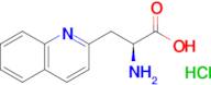 (S)-2-Amino-3-(quinolin-2-yl)propanoic acid hydrochloride