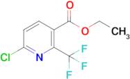 Ethyl 6-chloro-2-(trifluoromethyl)nicotinate